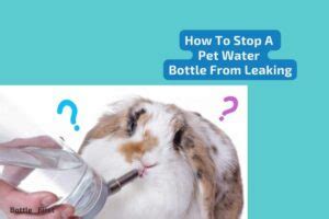 pet water bottle leaking|How to Fix Leaking Pet Water Bottle